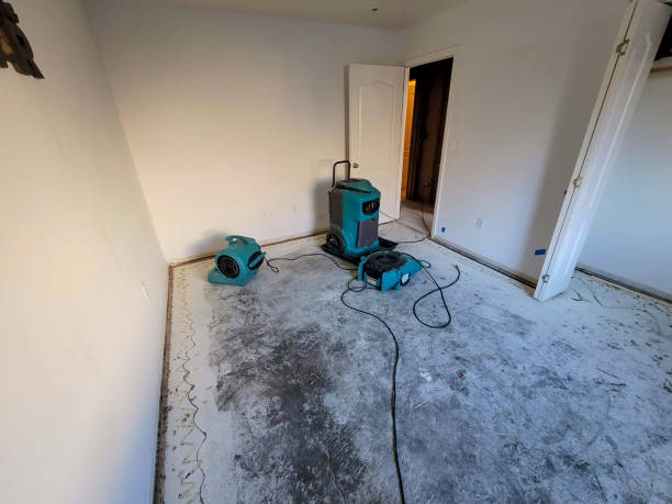 Best 24-hour water damage restoration  in Lakewood, NY