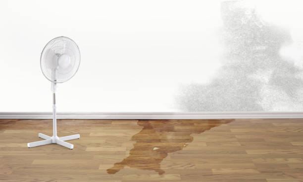 Best Flooded house restoration  in Lakewood, NY
