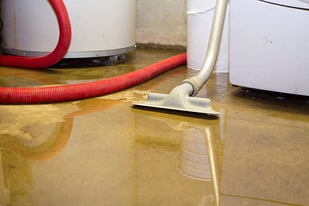 Best Residential water damage restoration  in Lakewood, NY