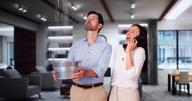 Best Professional water damage repair  in Lakewood, NY